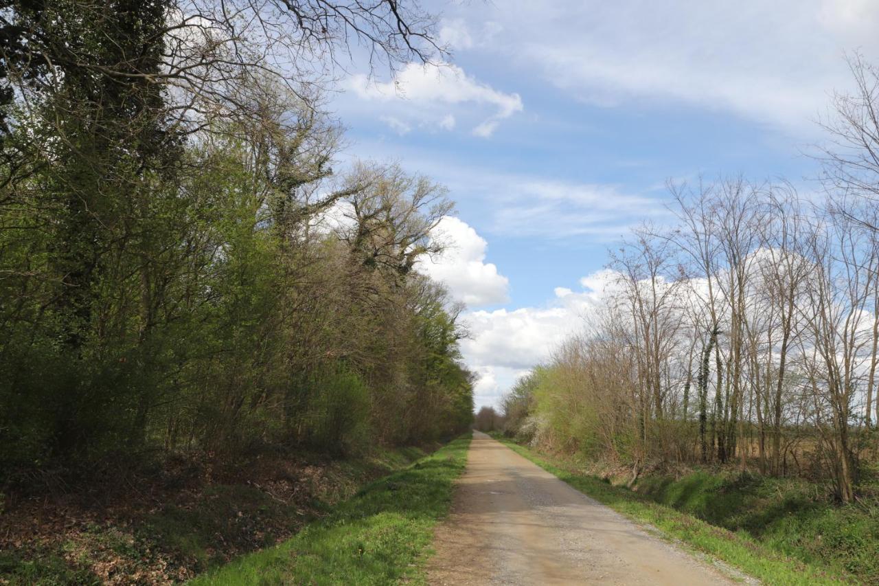 Normanci Near Thermal *